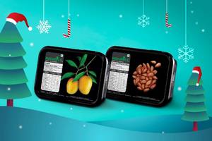 Santa's Round The Year Combo