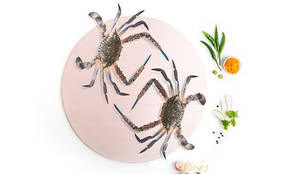 Blue Crab Whole Cleaned 500Pcs