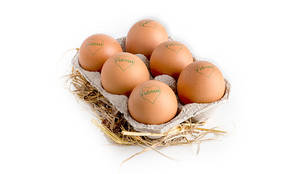 Natural Brown Egg Pack Of 6