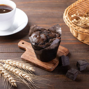 Chocolate Muffin