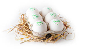 Enf Rich White Eggs Pack Of 6