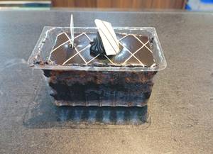 Egless Dutch truffle Pastry