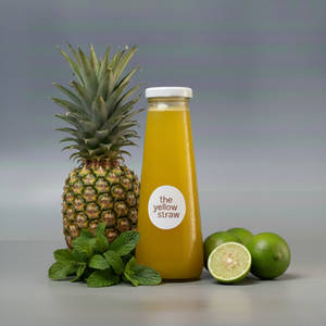 Refresher Straw - Juice [ Gut Wellness]