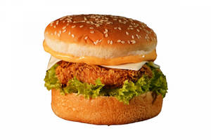 Tandoori Chicken Burger