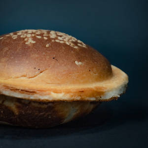 Chicken Sealed Burger
