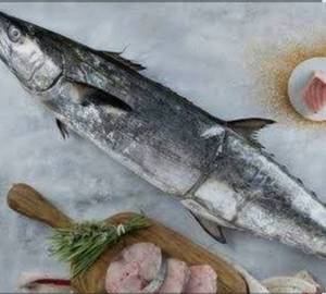 Surmai /seer fish/king fish