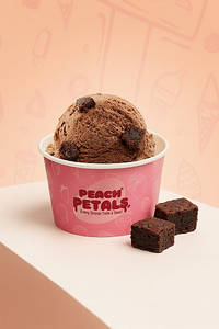 Choco Brownie Ice Cream