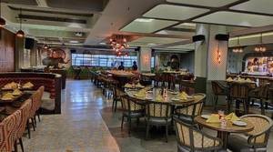 SOUTH INDAIN TALLI [MEALS]