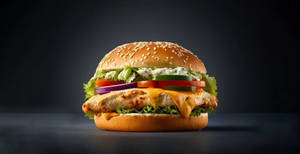 Chicken Protein Rich Burger