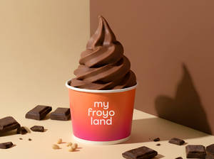 Belgian Chocolate Frozen Yogurt