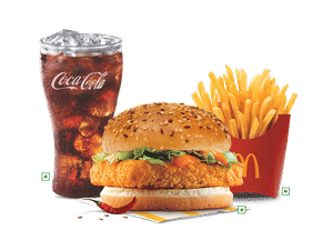      EVM McSpicy Paneer Protein