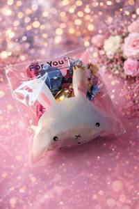 Delicious Chocolates In A Bunny Bag