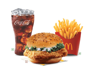    EVM McSpicy Chicken Protein