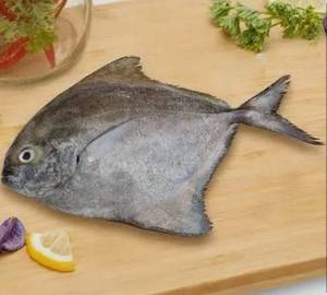 Black pompret(halawa)