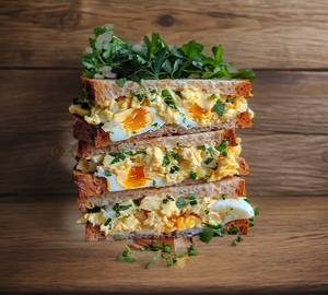 American egg club sandwich