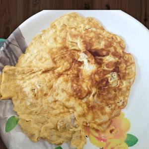 Egg omelette [double]