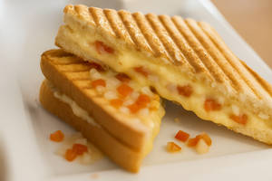 Cheese Grilled Sandwich