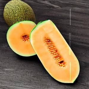 Muskmelon