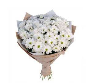 Munmun Florist 10 Stamp White Sentheni bouquet 