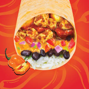 Hot Habanero Burrito - Paneer