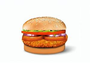 Tikka burger [double]