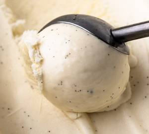 French Vanilla Bean Gelato 100Grms