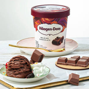 Belgian Chocolate Ice Cream Pint (450 grams)