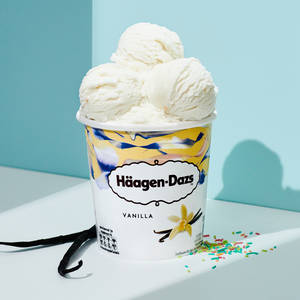 Vanilla Ice Cream Pint (450 grams)