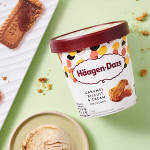 Caramel Biscuit and Cream Ice Cream Pint (450 grams)