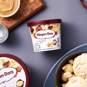 Macadamia Nut Ice Cream Pint (450 grams)