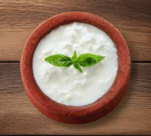 Dahi [plain]