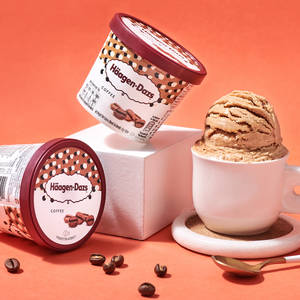 Coffee Ice Cream Pint (450 grams)