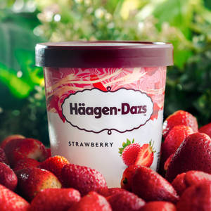 Strawberry Ice Cream Pint (450 grams)