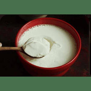 Plain Curd