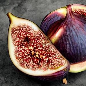 Fig(Athi)