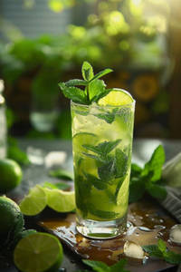 Mint Mojito