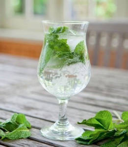 Mint Mojito