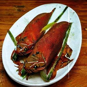 Dragon Fish  