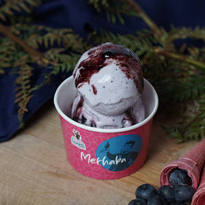 Blueberry Ice Cream