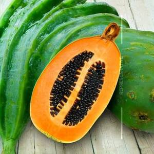 Naruneendi Papaya