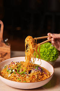 Veg Hakka Noodles