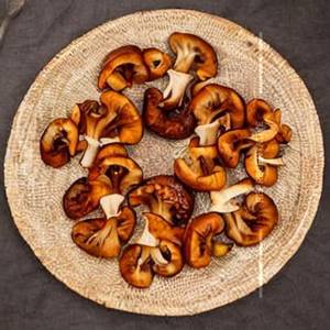 Dragon Mushroom