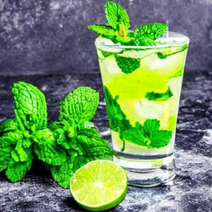 Mint Lime Mojito