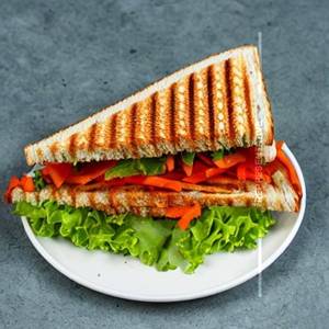 Special veg sandwich