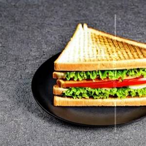 Vegetable Sandwich