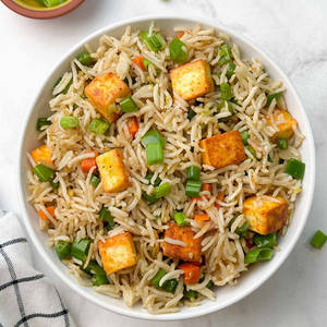 Toshib Spl. Veg. Fried Rice