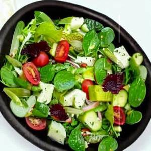 Fresh Green Salad
