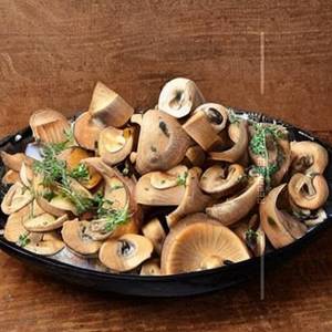 Motor Mushroom