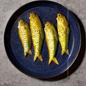 Apollo Fish