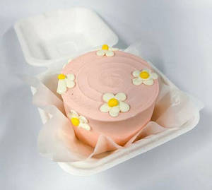 Eggless Chocolate Vanilla Bento Cake